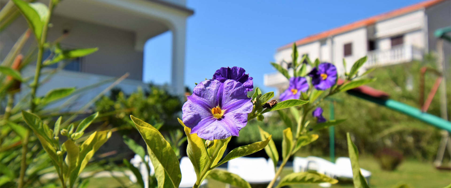 Apartmani Ivanka u Loparu na otoku Rabu